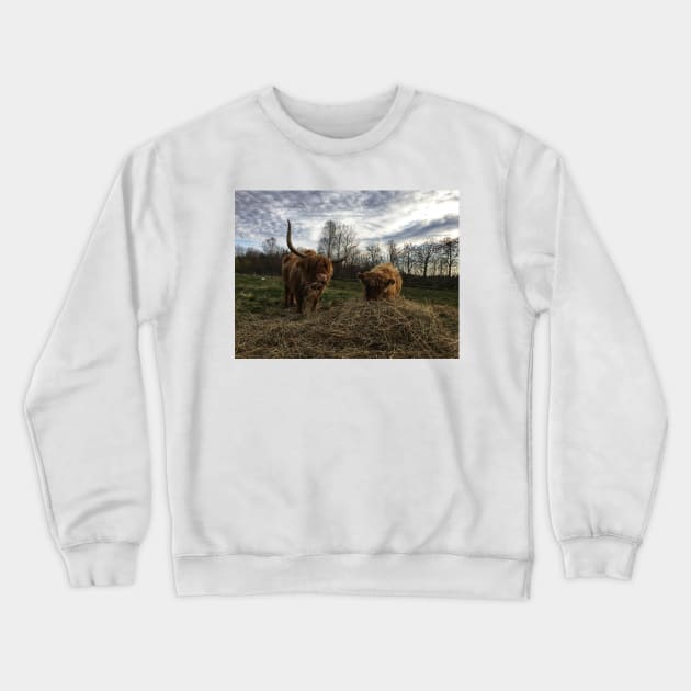 Scottish Highland Cattle Cow and Calf 1575 Crewneck Sweatshirt by SaarelaHighland